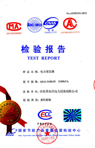 昌都电力变压器检测报告