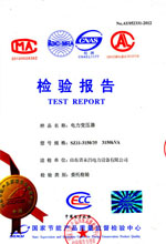 昌都电力变压器检测报告